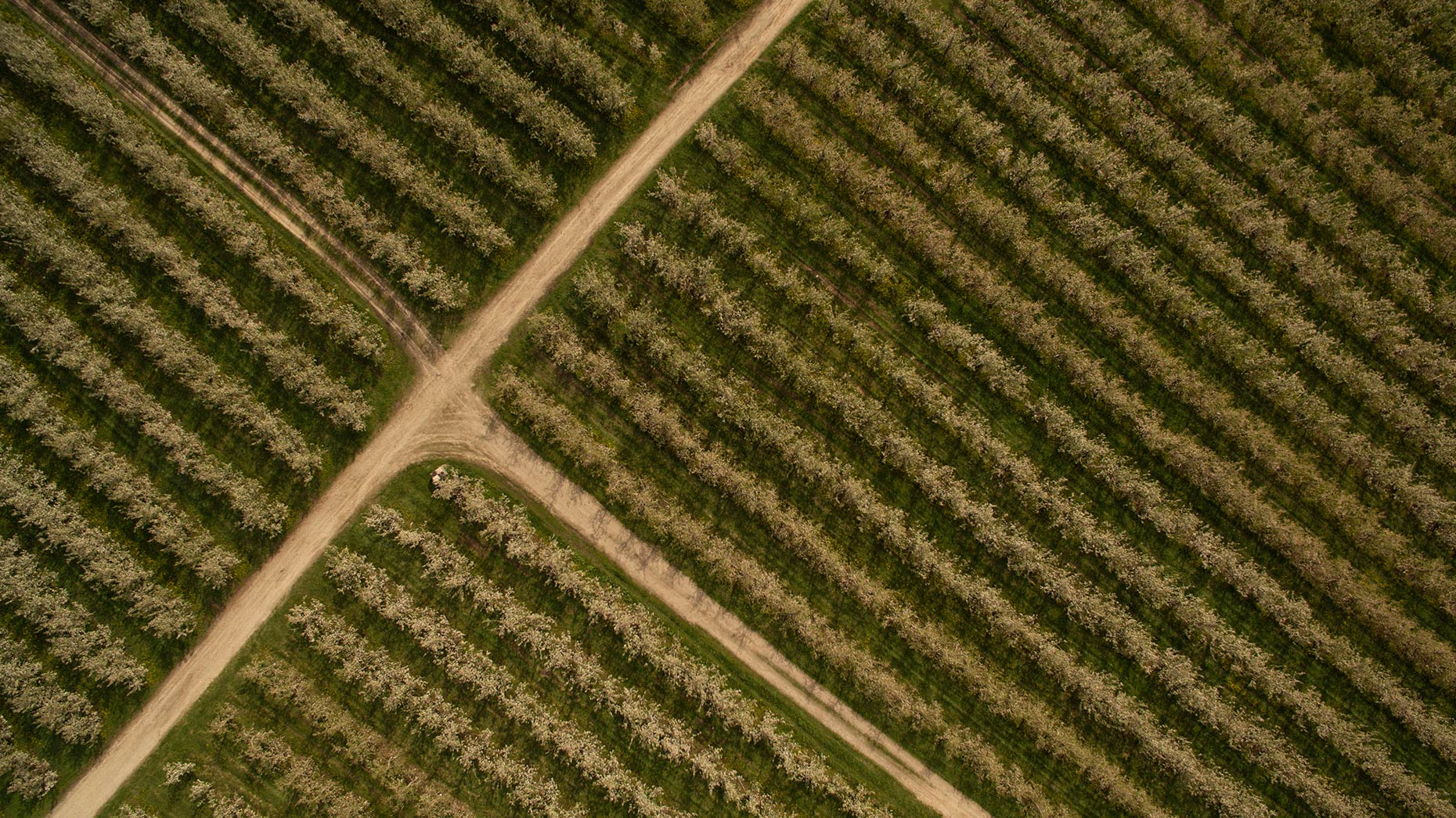DJI_0328